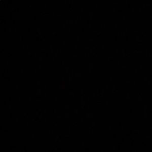 Meet your Posher, Jake